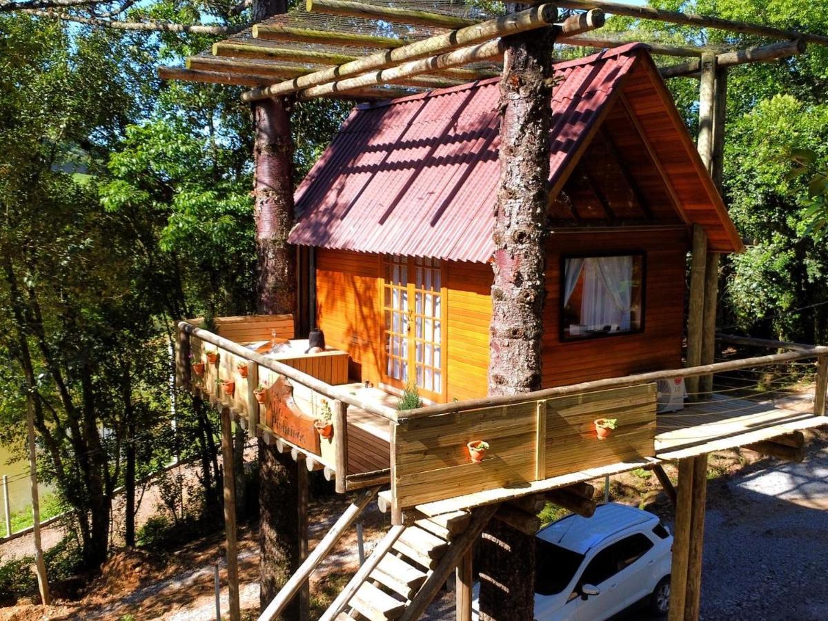 Casa Na Arvore Com Hidro, Piscina, Trilha, Cavalo Bento Gonçalves Zewnętrze zdjęcie