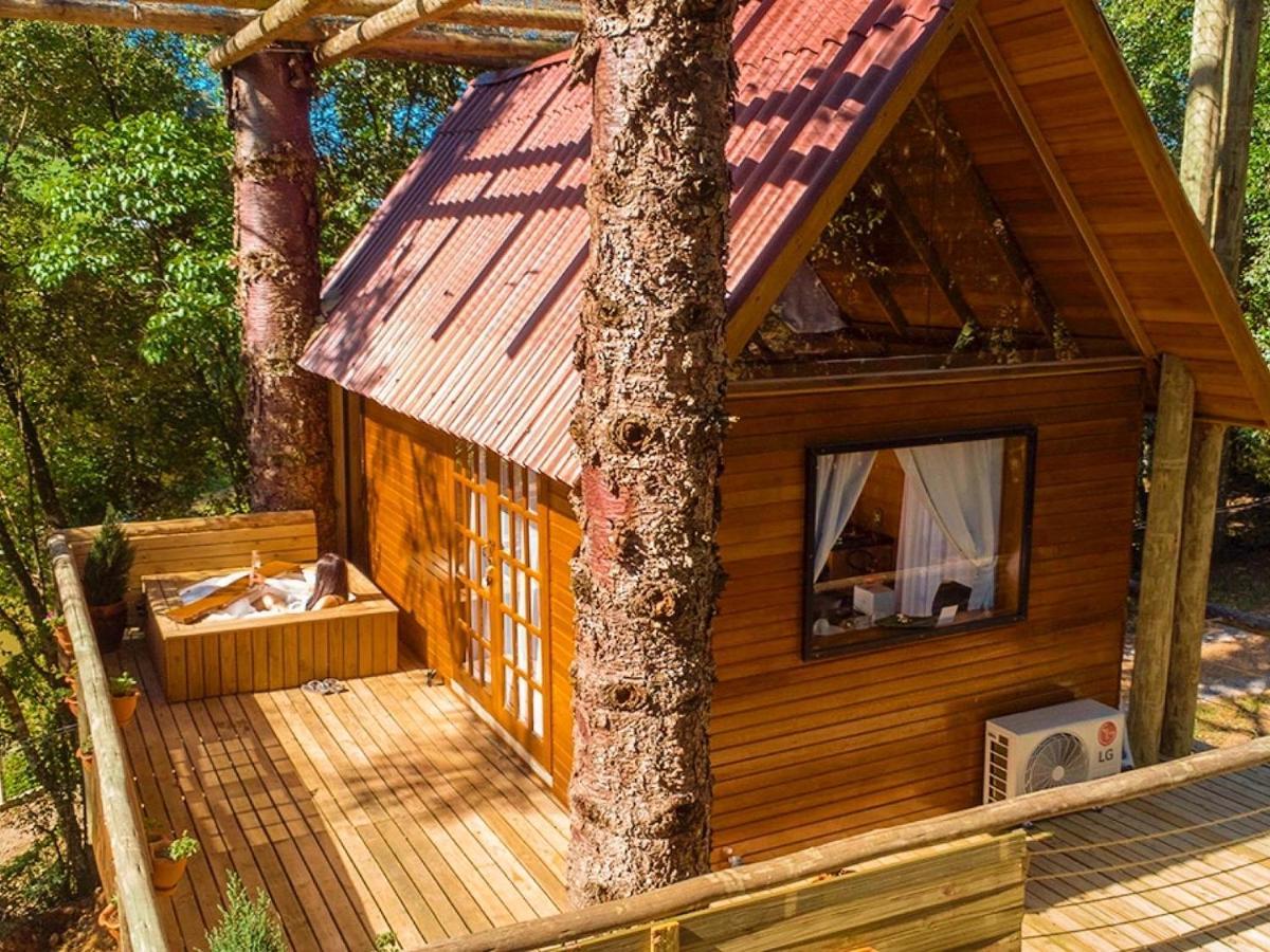 Casa Na Arvore Com Hidro, Piscina, Trilha, Cavalo Bento Gonçalves Zewnętrze zdjęcie
