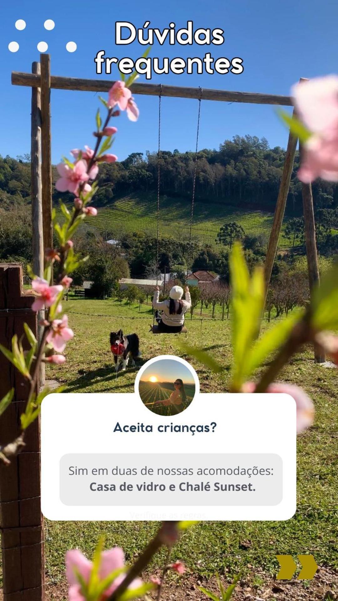 Casa Na Arvore Com Hidro, Piscina, Trilha, Cavalo Bento Gonçalves Zewnętrze zdjęcie