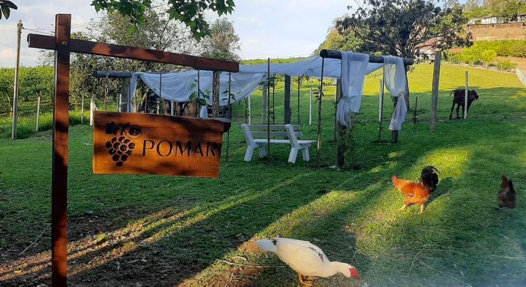 Casa Na Arvore Com Hidro, Piscina, Trilha, Cavalo Bento Gonçalves Zewnętrze zdjęcie